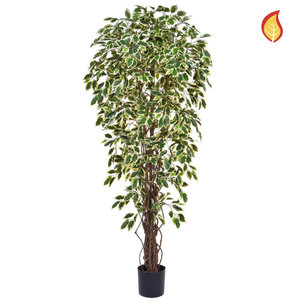 180cm Fire Retardant Artificial Ficus Liana Variegated/