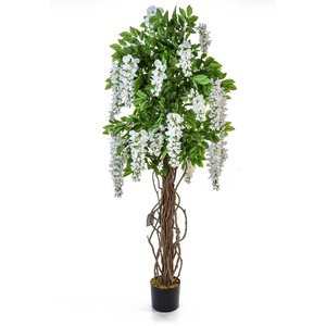 160cm Artificial Flowering White Wisteria/